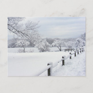Sticky Snow 7 ~ postcard
