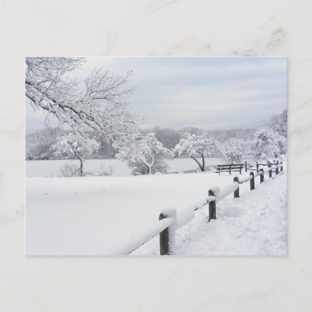 Sticky Snow 7 ~ postcard (Front)