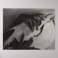 Stieglitz Georgia O’Keeffe Hands Horse Skull Photo