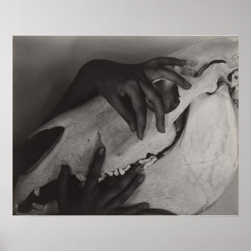 Stieglitz Georgia OKeeffe Hands Horse Skull Photo Poster