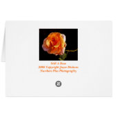Still A Rose Cards (Back Horizontal)