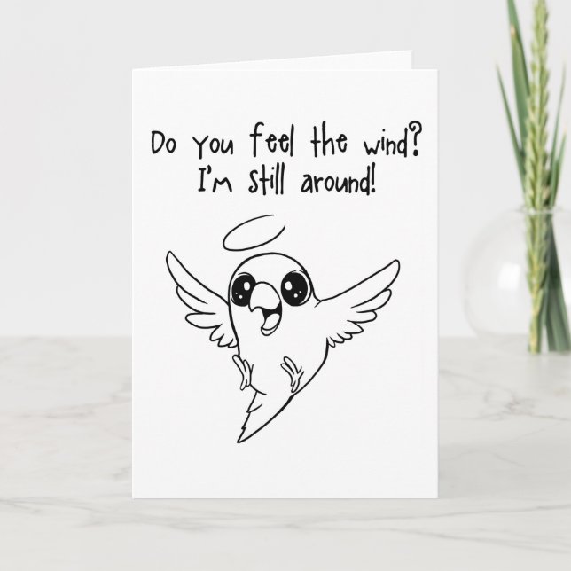 Still around card (Front)