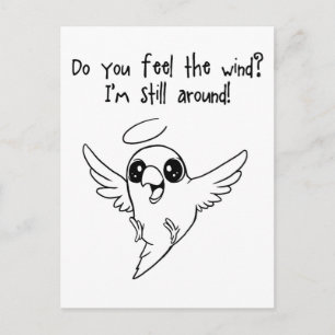 Still around postcard