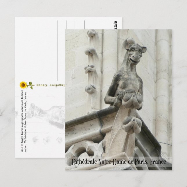 Still Keeping Watch, Cathédrale Notre-Dame -  Postcard (Front/Back)