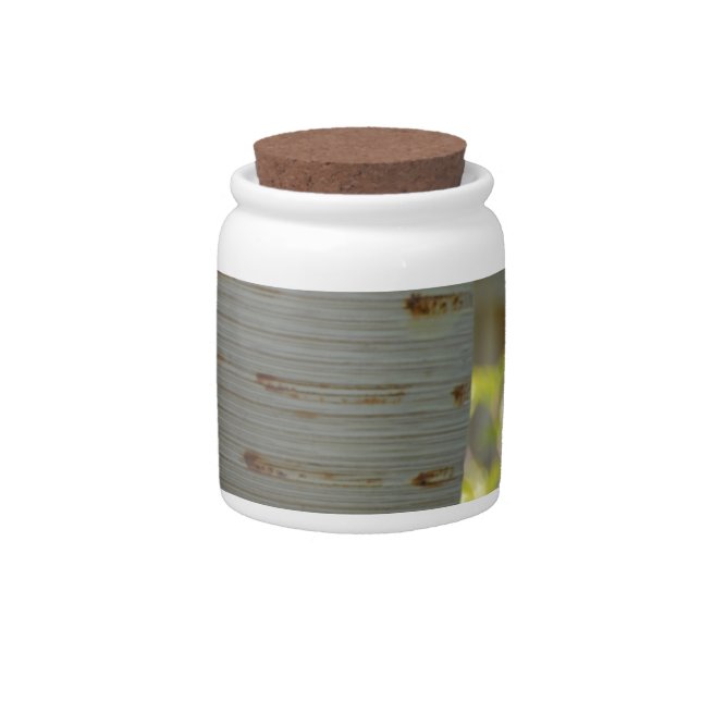 Still Life Candy Jar (Front)