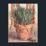 Still Life Flowerpot w Chives by Vincent van Gogh Postcard<br><div class="desc">Flowerpot with Chives by Vincent van Gogh is a vintage fine art post impressionism kitchen still life painting featuring a clay pot with a chive plant growing, herbs for cooking. About the artist: Vincent Willem van Gogh was a Post Impressionist painter whose work was most notable for its rough beauty,...</div>