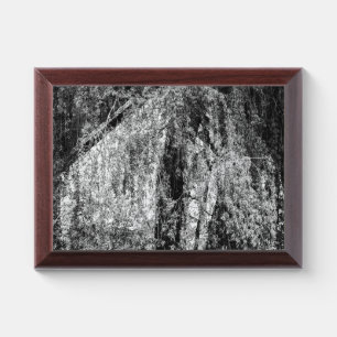 still life home award plaque