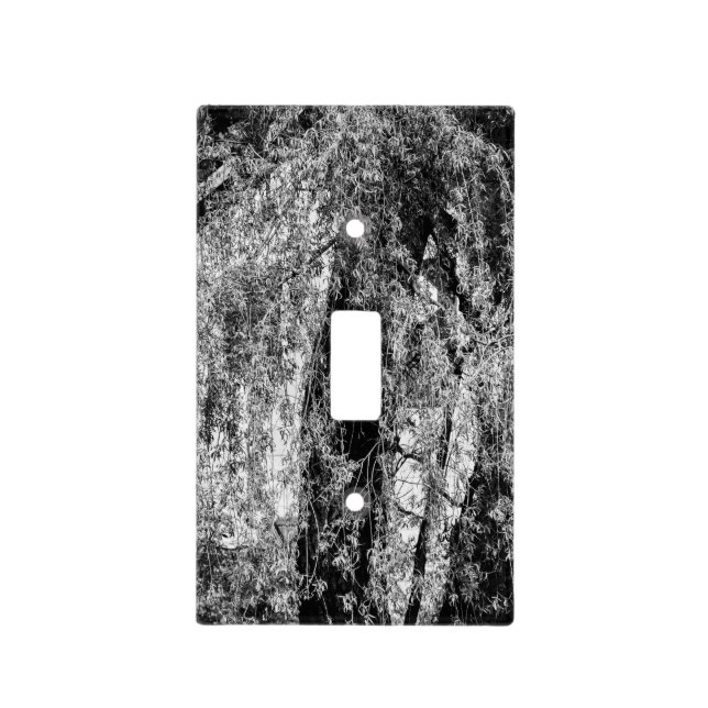 still life home light switch cover (Front)