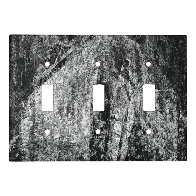 still life home light switch cover (Front)