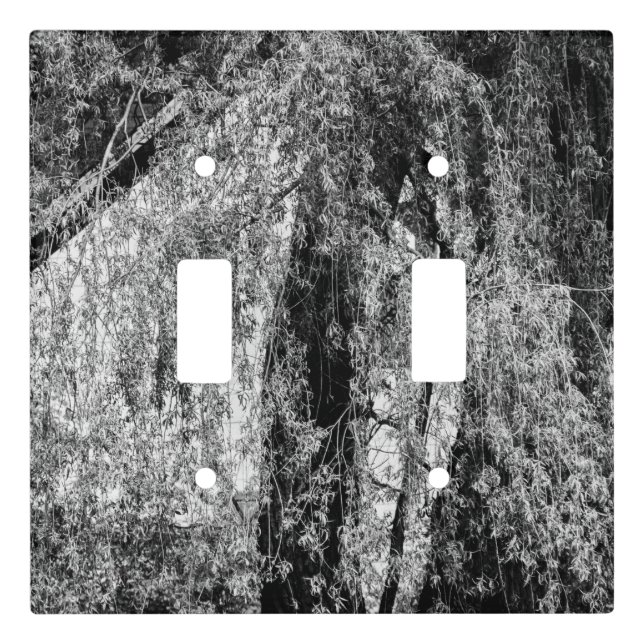 still life home light switch cover (Front)