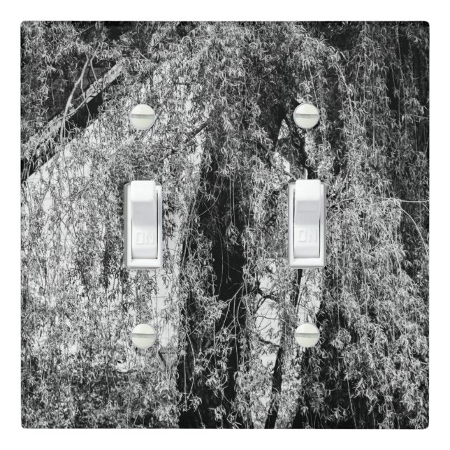 still life home light switch cover (In Situ)