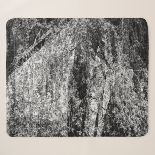 still life home sherpa blanket