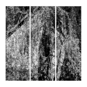 still life home triptych