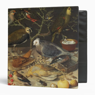 Still Life of Birds and Insects, 1637 Binder