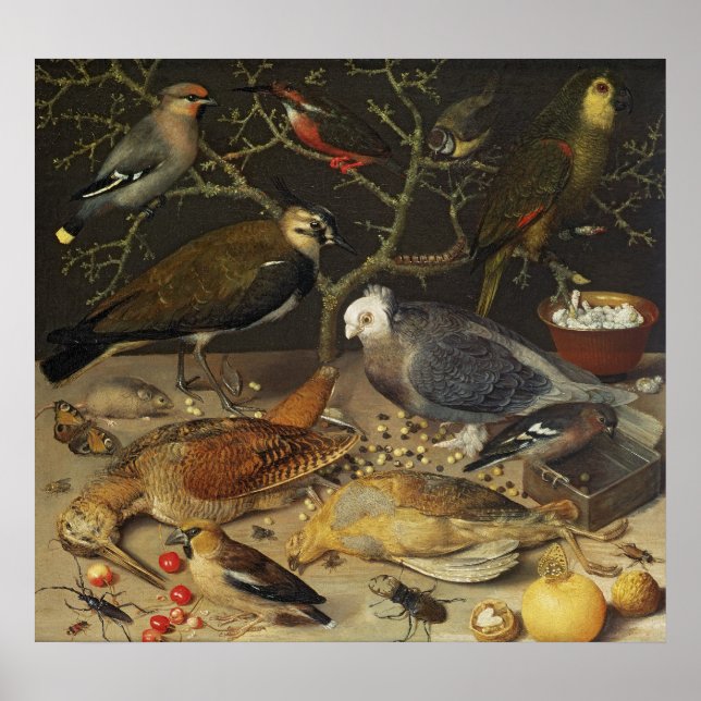 Still Life of Birds and Insects, 1637 Poster (Front)