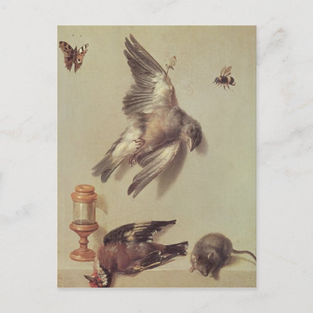 Still Life of Dead Birds and a Mouse, 1712 Postcard (Front)