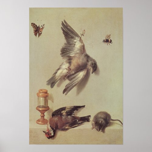 Still Life of Dead Birds and a Mouse 1712 Poster