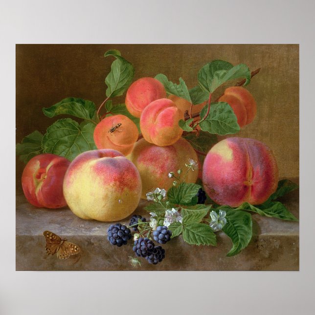 Still Life of Peaches Poster (Front)