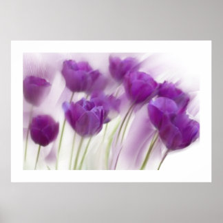 Still Life on Canvas Poster