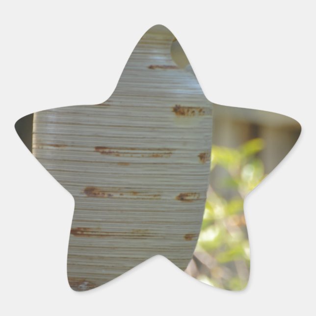 Still Life Star Sticker (Front)