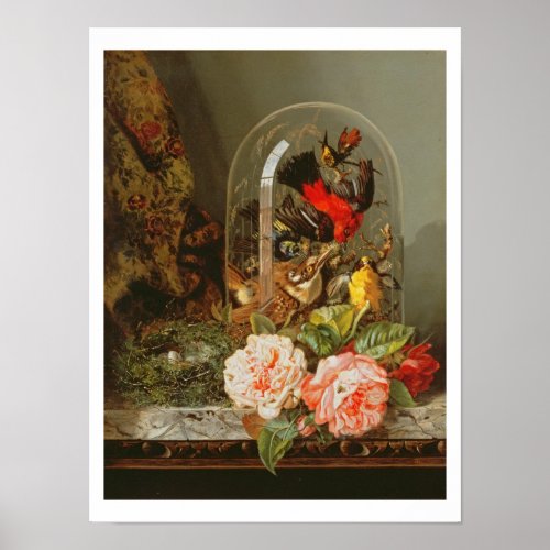 Still Life with Humming Bird in a Glass Dome Poster