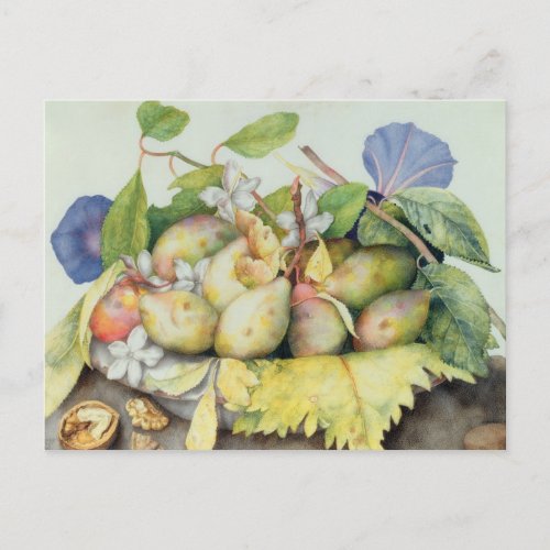 Still life with Plums Walnuts and Jasmine wc on Postcard