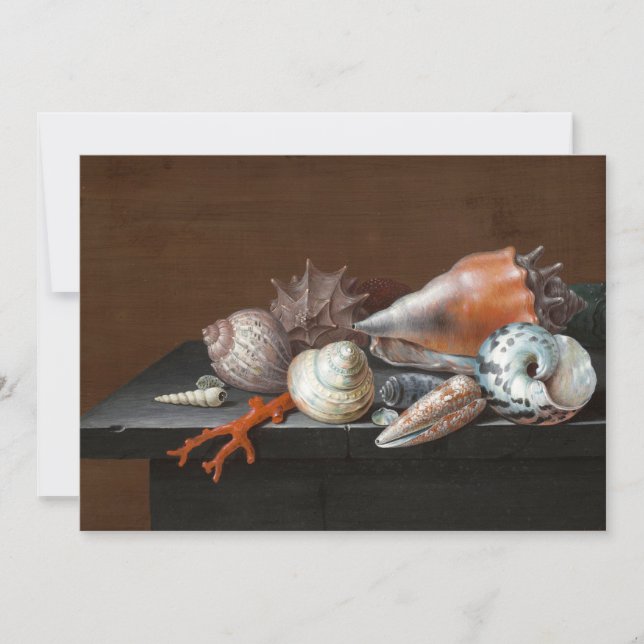 Still Life with Shells | Johann Jakob Dietzsch (Front)