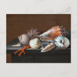 Still Life with Shells Johann Jakob Dietzsch Postcard