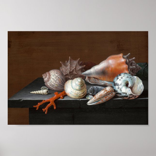 Still Life with Shells | Johann Jakob Dietzsch Poster (Front)