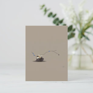 Still Marine Beige Brown Relaxation Seashell Holiday Postcard
