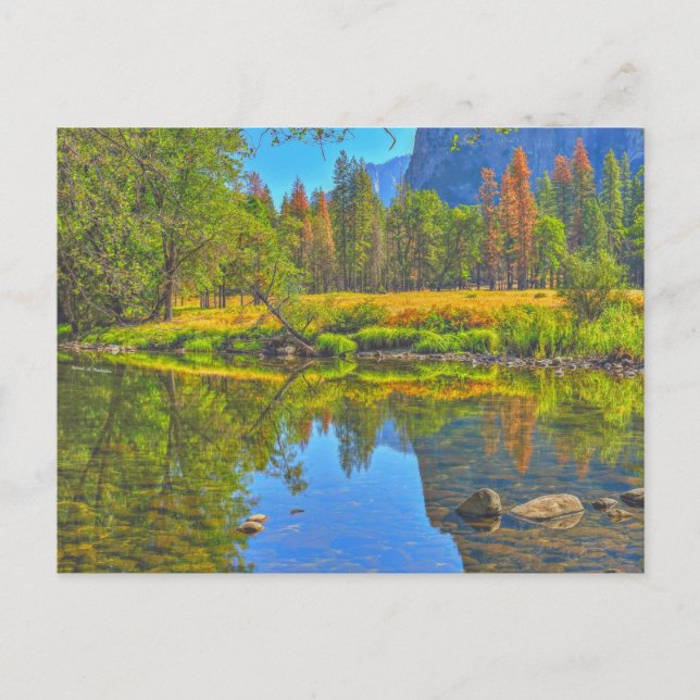 Still Water Postcard (Front)