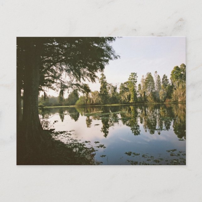 Still waters postcard (Front)