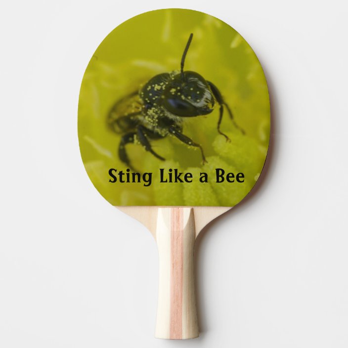 Sting Like A Bee Funny Paddle With Text Zazzle Com