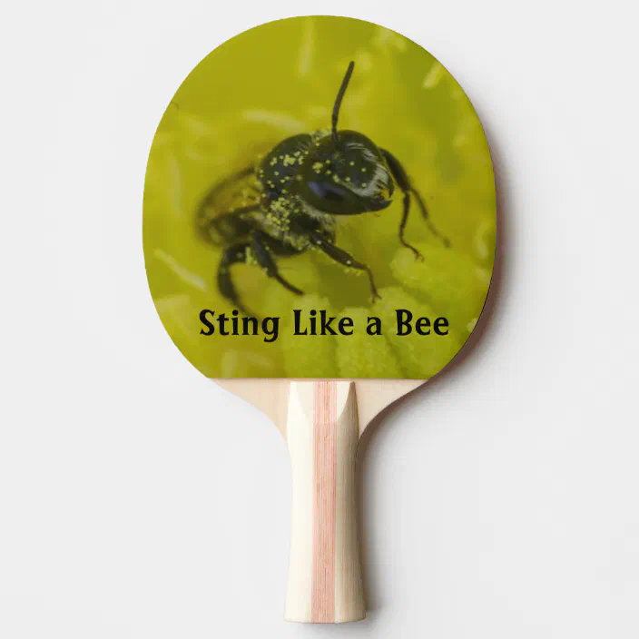 Sting Like A Bee Funny Paddle With Text Zazzle Com