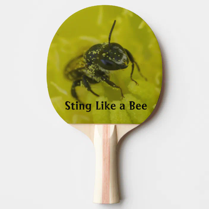 Sting Like A Bee Funny Paddle With Text Zazzle Com Sting Like A Bee Funny Paddle With Text Zazzle Com