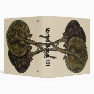 Sting Rays Stingrays, Vintage Marine Life Animals 3 Ring Binder