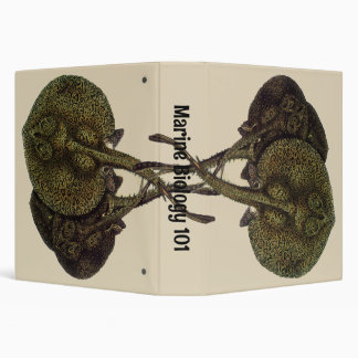 Sting Rays Stingrays, Vintage Marine Life Animals 3 Ring Binder