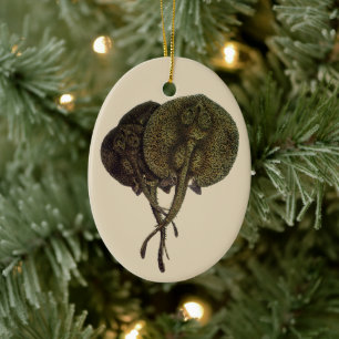 Sting Rays Stingrays, Vintage Marine Life Animals Ceramic Ornament
