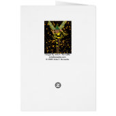 Stinger Cards (Back)