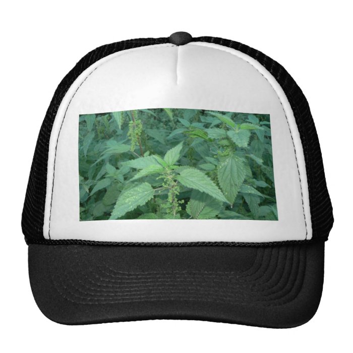 Stinging Nettles Mesh Hats