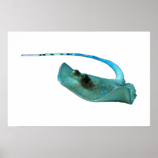 Stingray - Abstract Design - Cut out of a photo |  Poster