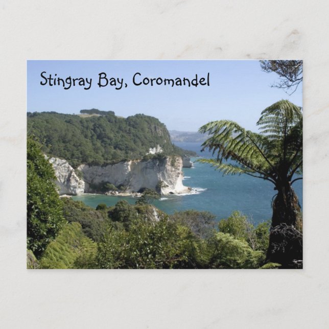 Stingray Bay, Coromandel Postcard (Front)
