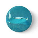 Stingray  Button