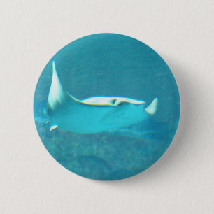 Stingray  Button