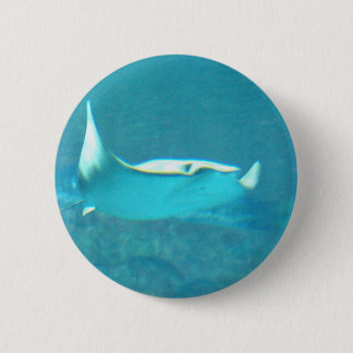 Stingray Button