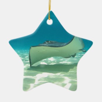Stingray Ceramic Ornament by The_Everything_Store at Zazzle
