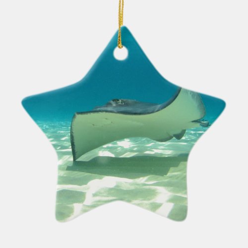 Stingray Ceramic Ornament