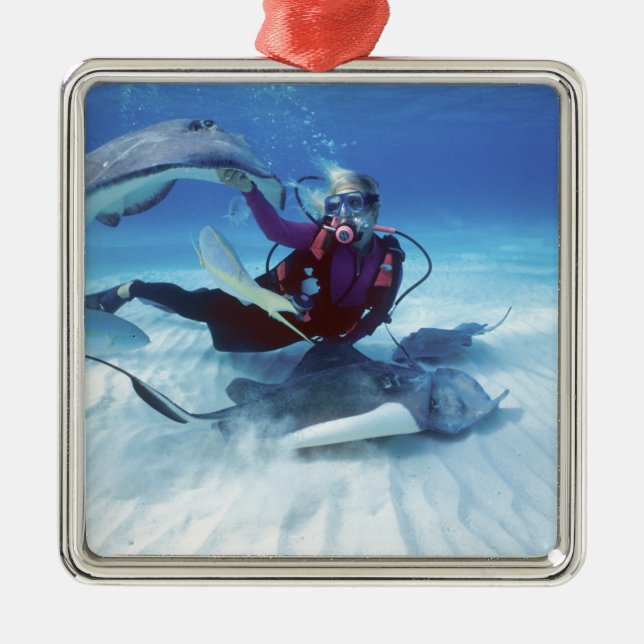 Stingray City, Grand Cayman, Cayman Islands, Metal Ornament (Front)