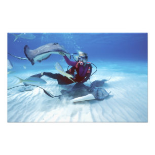 Stingray City, Grand Cayman, Cayman Islands, Photo Print