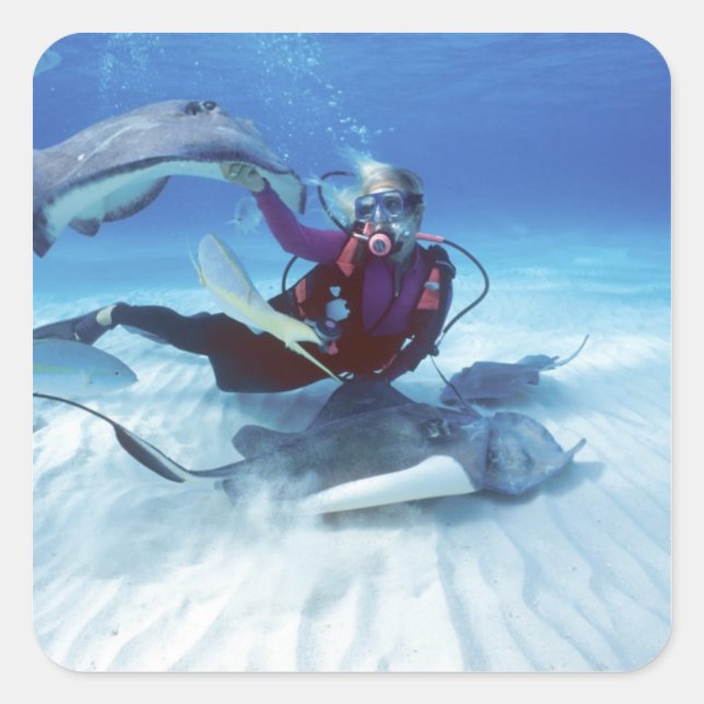 Stingray City, Grand Cayman, Cayman Islands, Square Sticker (Front)